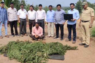 ಸಿಐಡಿ ತಂಡದಿಂದ ಗಾಂಜಾ ಮಾರಾಟಗಾರನ ಮೇಲೆ ದಾಳಿ