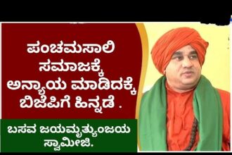 ಪಂಚಮಸಾಲಿ ಸಮಾಜಕ್ಕೆ ಅನ್ಯಾಯ ಮಾಡಿದಕ್ಕೆ ಬಿಜೆಪಿಗೆ ಹಿನ್ನಡೆ: ಮೃತ್ಯುಂಜಯ ಸ್ವಾಮೀಜಿ